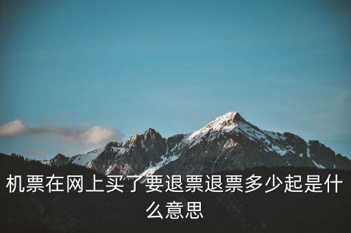 機(jī)票在網(wǎng)上買了要退票退票多少起是什么意思