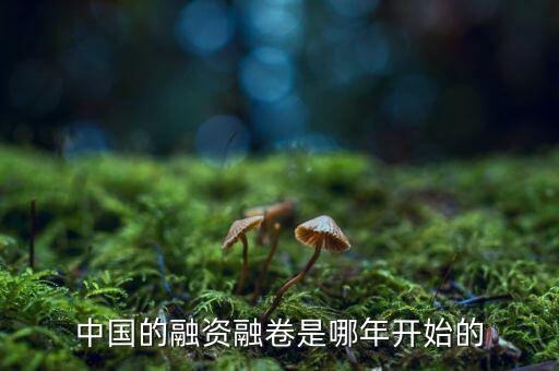 中國(guó)的融資融卷是哪年開(kāi)始的