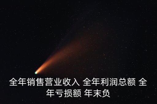 全年銷售營(yíng)業(yè)收入 全年利潤(rùn)總額 全年虧損額 年末負(fù)