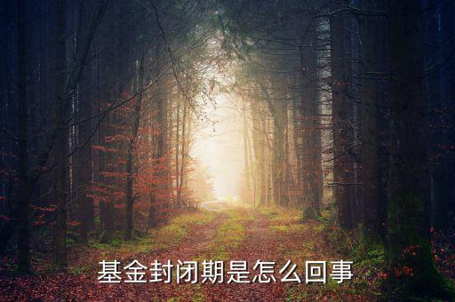 封閉式基金為什么要封閉，為什么認(rèn)購基金要封閉期封閉期是3個月內(nèi)不得提現(xiàn)
