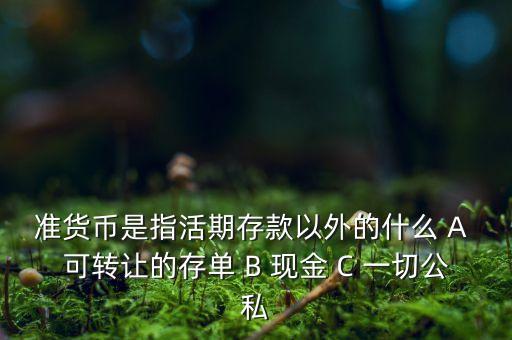 準(zhǔn)貨幣包括什么，準(zhǔn)貨幣是指活期存款以外的什么 A 可轉(zhuǎn)讓的存單 B 現(xiàn)金 C 一切公私