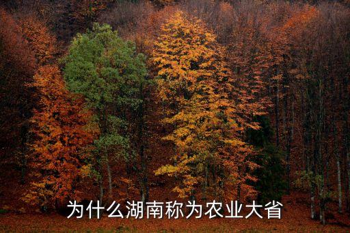 什么叫農(nóng)業(yè)大省，請問中國哪一個省是農(nóng)業(yè)大省