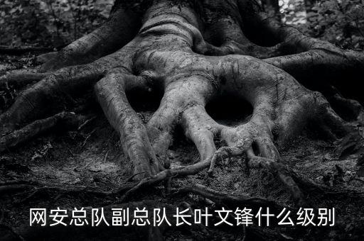 網(wǎng)安總隊(duì)副總隊(duì)長(zhǎng)葉文鋒什么級(jí)別