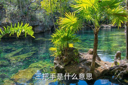 三把手是什么意思