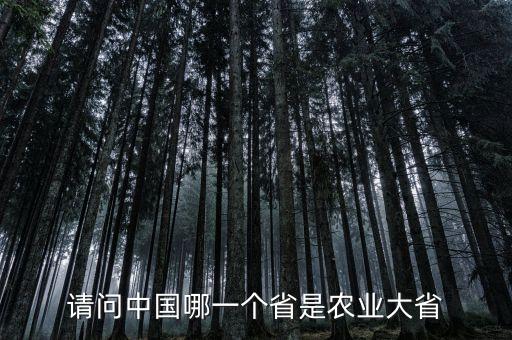 請問中國哪一個省是農(nóng)業(yè)大省