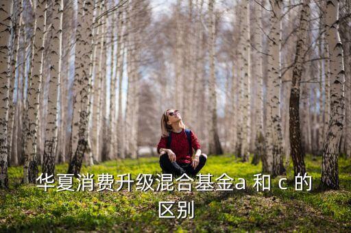華夏醫(yī)療健康混合c和a有什么不同，華夏醫(yī)療健康混合型發(fā)起式證券投資基金a類與c類有何區(qū)別