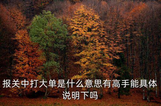 報(bào)關(guān)中的大單是什么意思，報(bào)關(guān)單里打大單是指哪些單怎么打