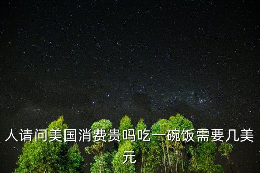 人請問美國消費貴嗎吃一碗飯需要幾美元