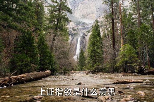上證指數(shù)代表什么，上證指數(shù)是什么