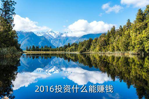 2016投資什么能賺錢
