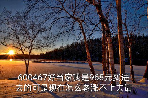 600467好當(dāng)家我是968元買進(jìn)去的可是現(xiàn)在怎么老漲不上去請(qǐng)