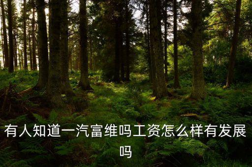 有人知道一汽富維嗎工資怎么樣有發(fā)展嗎