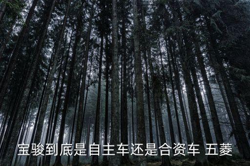 寶駿合資的自主品牌什么意思，有無(wú)人解釋下咩叫合資自主品牌