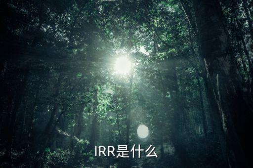 什么是效益導(dǎo)向，IRR是什么