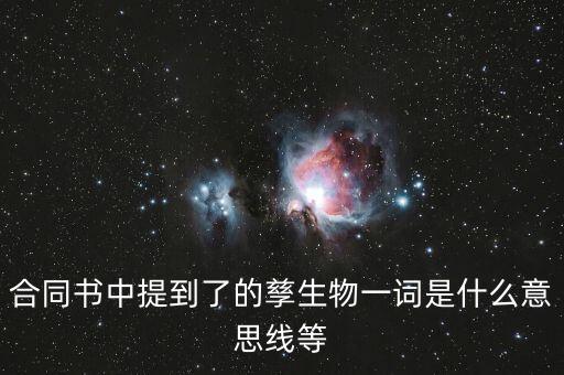 什么叫投資孳生物，孳生物是什么意思