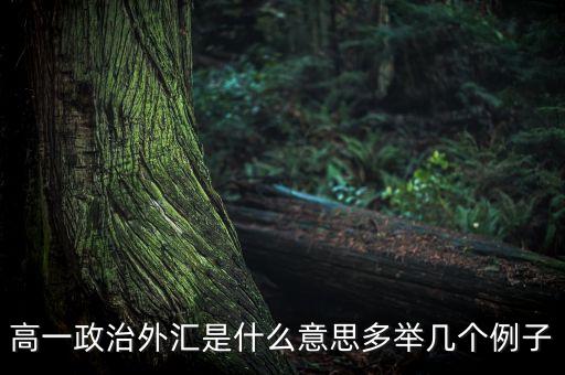 高一政治外匯是什么意思多舉幾個(gè)例子
