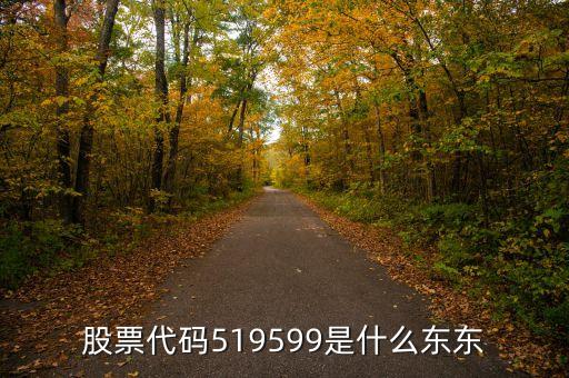 51開頭的是什么基金，51開頭的股票代表什么型的基金安全性怎么樣