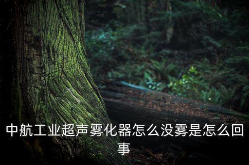 中航工業(yè)超聲霧化器怎么沒(méi)霧是怎么回事