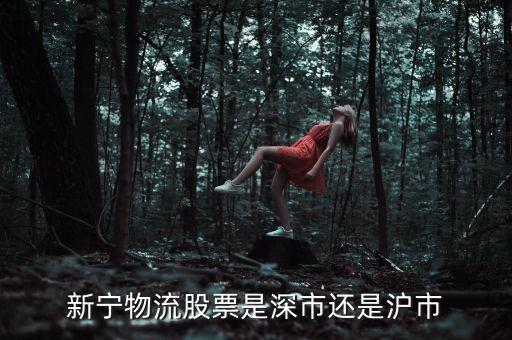 新寧物流為什么停牌，002399今天為什么停牌
