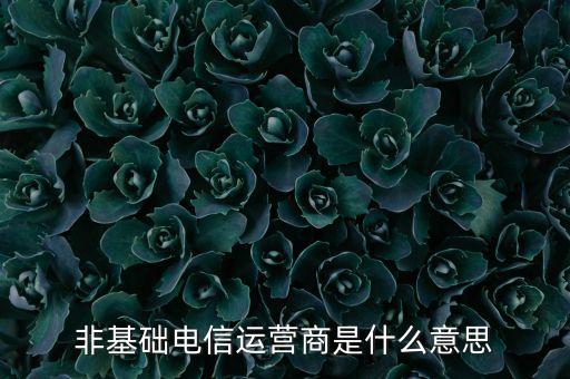 什么是基礎(chǔ)電信運(yùn)營商，請(qǐng)問基礎(chǔ)電信企業(yè)是不是就是指幾大電信運(yùn)營商啊不勝感激