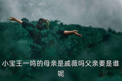 小寶王一鳴的母親是戚薇嗎父親要是誰呢