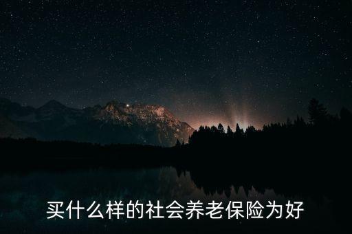 買什么樣的社會養(yǎng)老保險為好