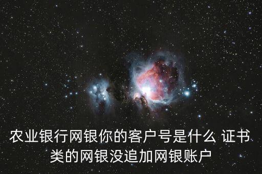 農(nóng)業(yè)銀行網(wǎng)銀客戶號是什么，農(nóng)業(yè)銀行網(wǎng)銀你的客戶號是什么 證書類的網(wǎng)銀沒追加網(wǎng)銀賬戶