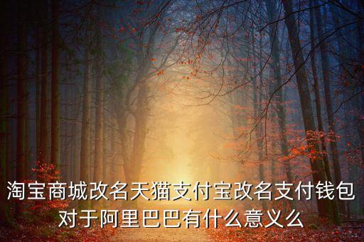 淘寶商城改名天貓支付寶改名支付錢包對于阿里巴巴有什么意義么