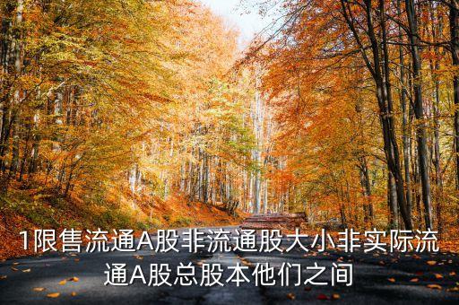 1限售流通A股非流通股大小非實(shí)際流通A股總股本他們之間