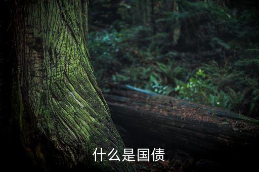 什么是國債