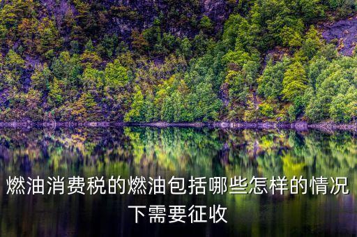 燃油消費稅的燃油包括哪些怎樣的情況下需要征收