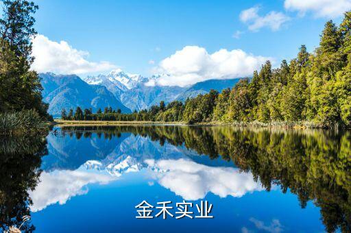 金禾實(shí)業(yè)