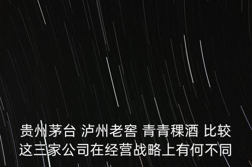 貴州茅臺 瀘州老窖 青青稞酒 比較這三家公司在經(jīng)營戰(zhàn)略上有何不同