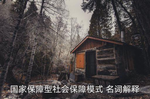保障型保險什么意思，國家保障型社會保障模式 名詞解釋