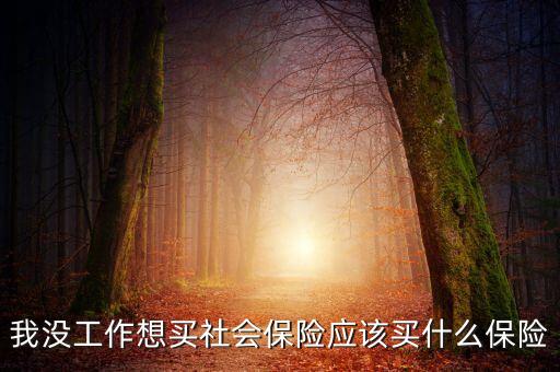 我沒工作想買社會保險應(yīng)該買什么保險