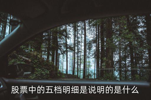 股票中的五檔明細(xì)是說明的是什么