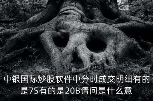 中銀互b是什么，中銀國際炒股軟件中分時成交明細有的是7S有的是20B請問是什么意