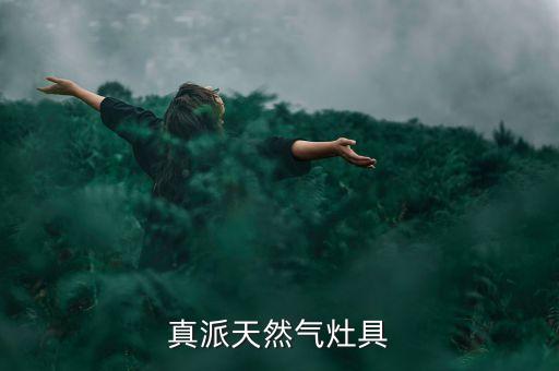 roispam煤氣灶是什么公司的，新飛天燃?xì)庠钍悄纳a(chǎn)的