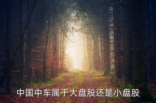 中國(guó)中車(chē)屬于大盤(pán)股還是小盤(pán)股