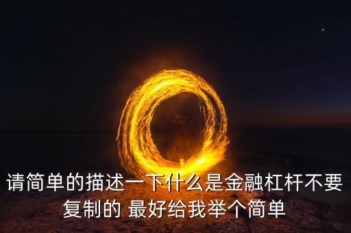 請簡單的描述一下什么是金融杠桿不要復(fù)制的 最好給我舉個(gè)簡單