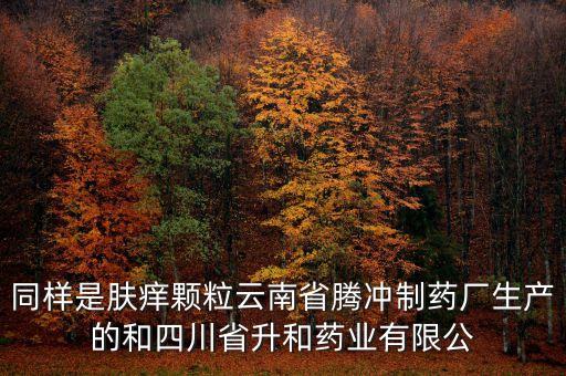 騰沖制藥廠是什么企業(yè)，云南騰沖制藥廠制造的人參再造丸