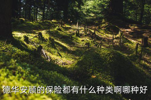 德華安顧保險(xiǎn)什么樣，華安顧人壽怎么樣德華安顧人壽保險(xiǎn)有限公司怎么樣