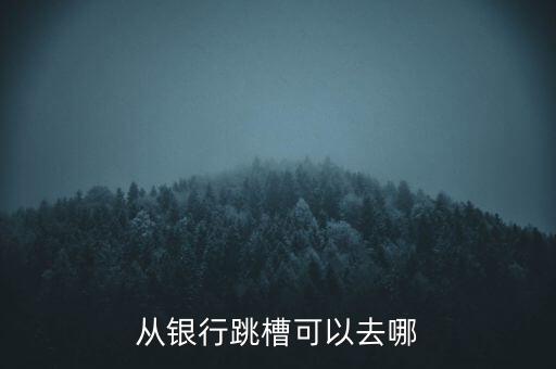 銀行什么部門(mén)跳槽基金方便，銀行卡部審批崗這個(gè)崗位之后能跳槽到什么企業(yè)和職位