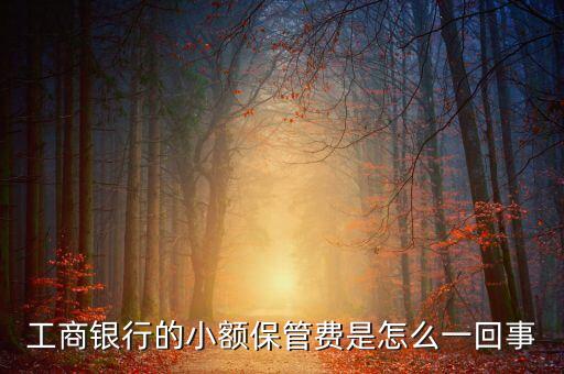 銀行卡為什么有保管費，農(nóng)業(yè)銀行卡為何要交管帳費
