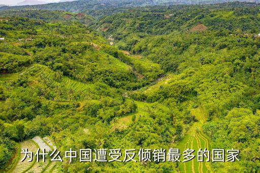 為什么反傾銷，我國為什么成為反傾銷最多的國家