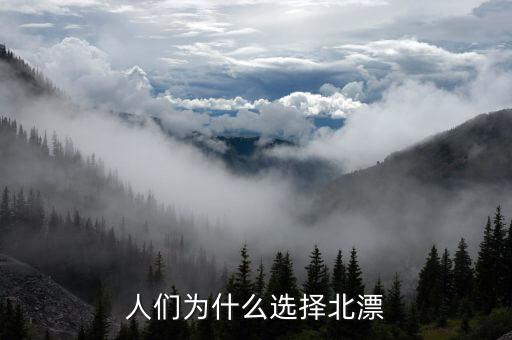 人們?yōu)槭裁催x擇北漂