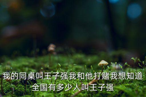 我的同桌叫王子強我和他打賭我想知道全國有多少人叫王子強