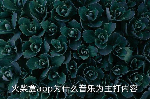 火柴盒app為什么音樂為主打內(nèi)容