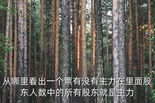什么是主力，股市中的主力是什么意思
