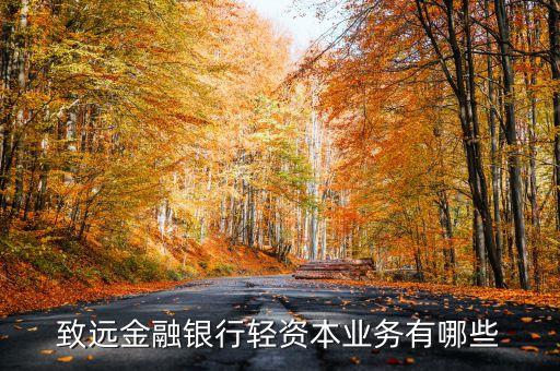 輕資本業(yè)務(wù)是什么，什么叫輕資本